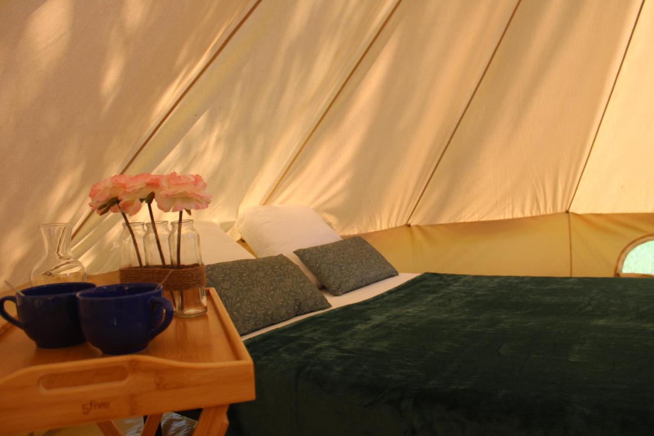 Camping Vert Lavande Belmont-sur-Rance Ngoại thất bức ảnh