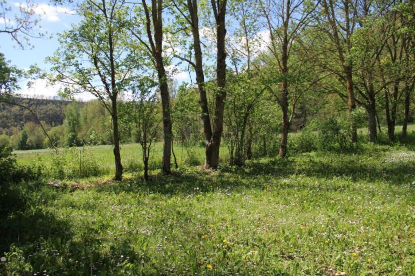 Camping Vert Lavande Belmont-sur-Rance Ngoại thất bức ảnh